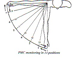 14 Muscle positions