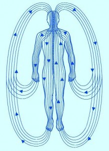 The body as a Hologram